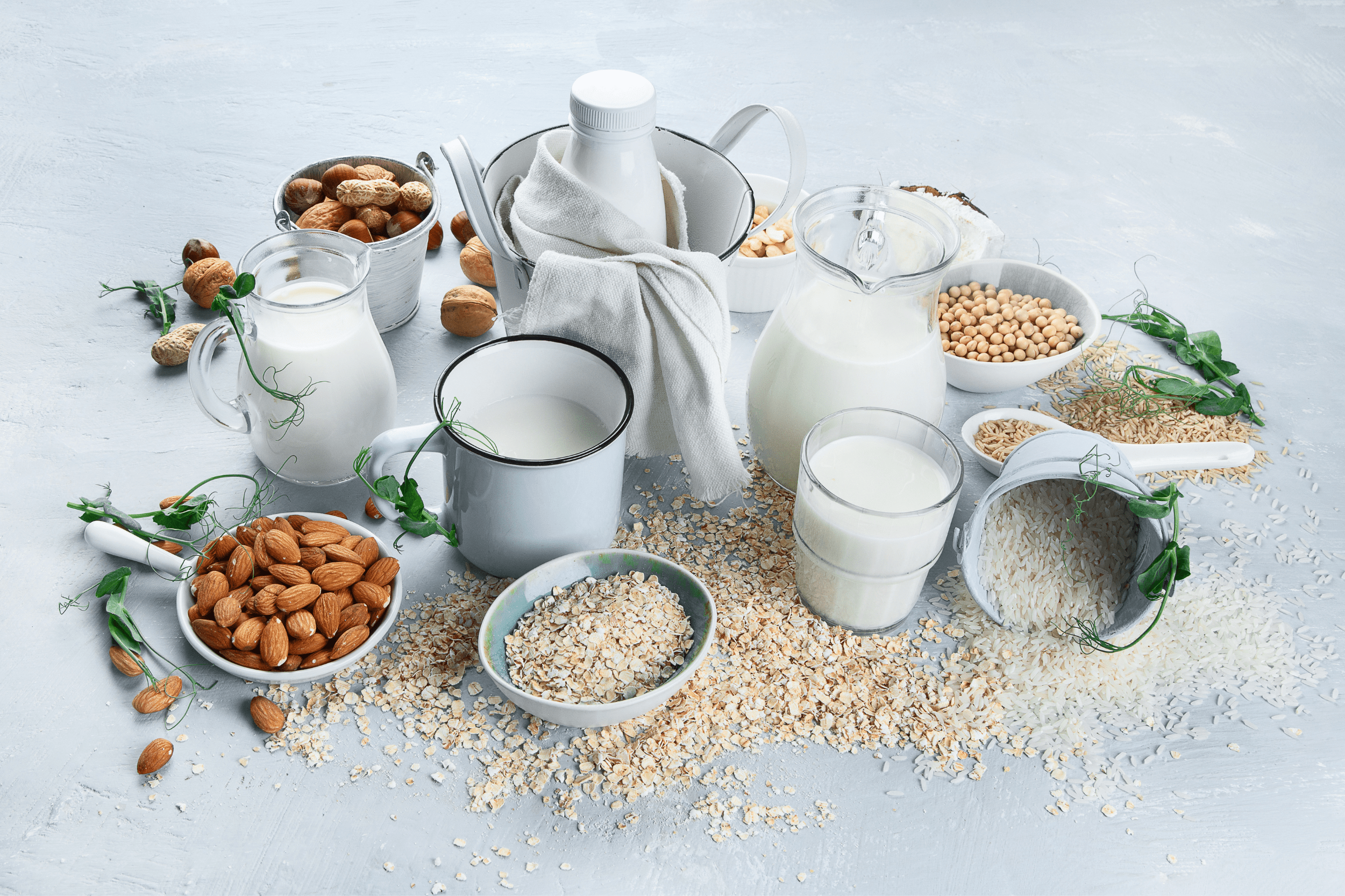 Di cosa parliamo quando parliamo di bevande vegetali?