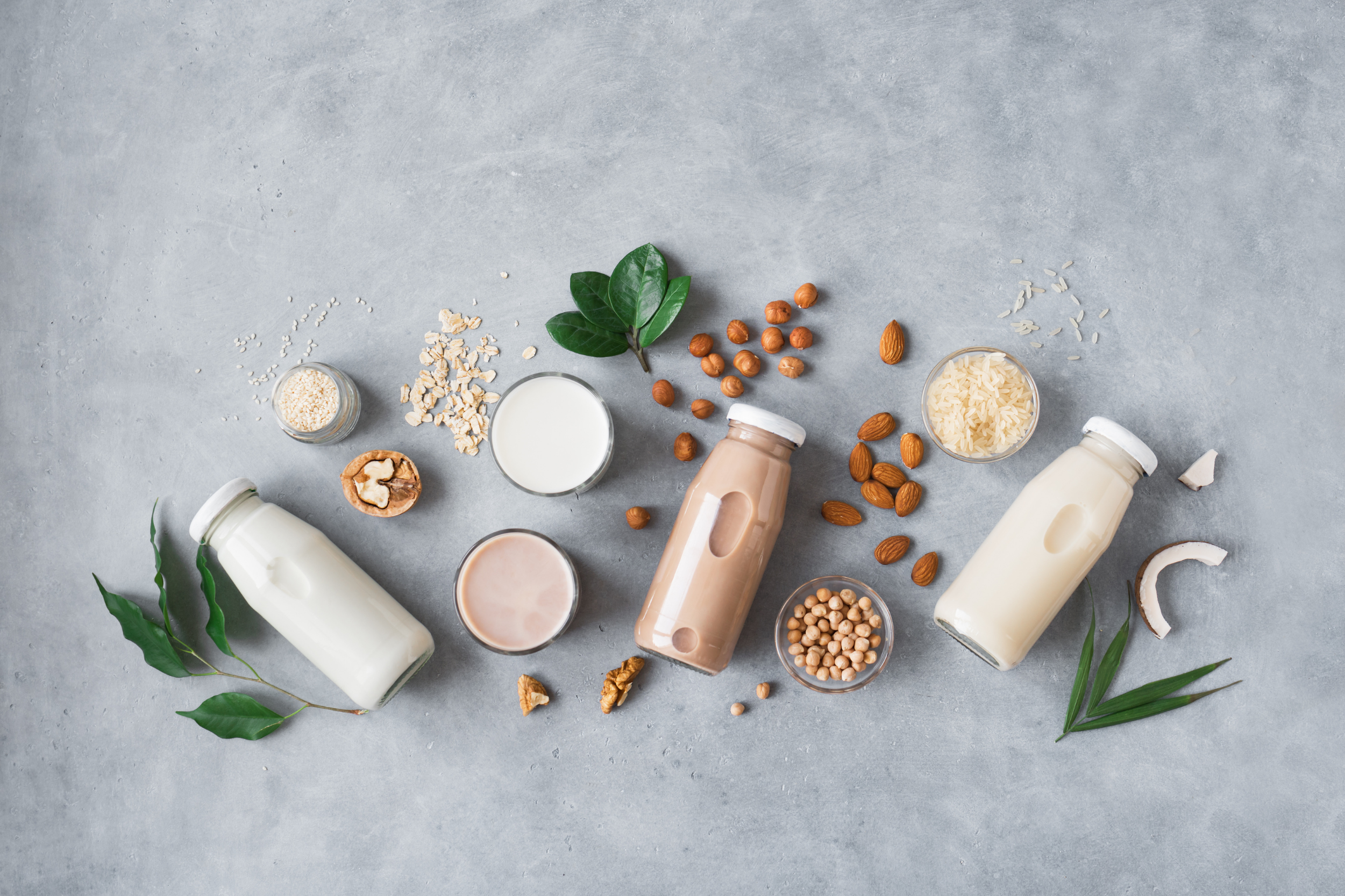 Focus nutrizione: bevande vegetali e creme spalmabili.